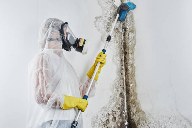 HVAC Mold Remediation