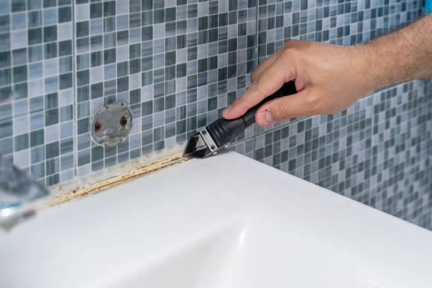 Best Black Mold Remediation in Bridgeport, OH